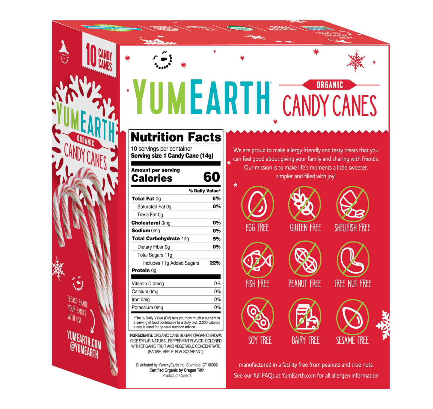 YumEarth Organic Candy Canes - Individually Wrapped Full Size Peppermint Candy Canes - Allergy Friendly, Non GMO, Gluten Free, Vegan, Dye Free Christmas Candy - 10 Count (Pack of 1)