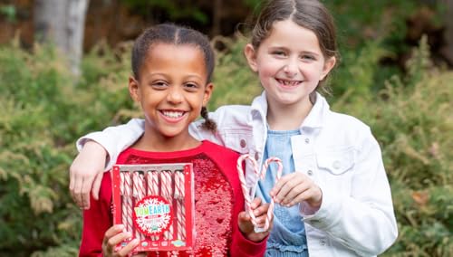 YumEarth Organic Candy Canes - Individually Wrapped Full Size Peppermint Candy Canes - Allergy Friendly, Non GMO, Gluten Free, Vegan, Dye Free Christmas Candy - 10 Count (Pack of 1)