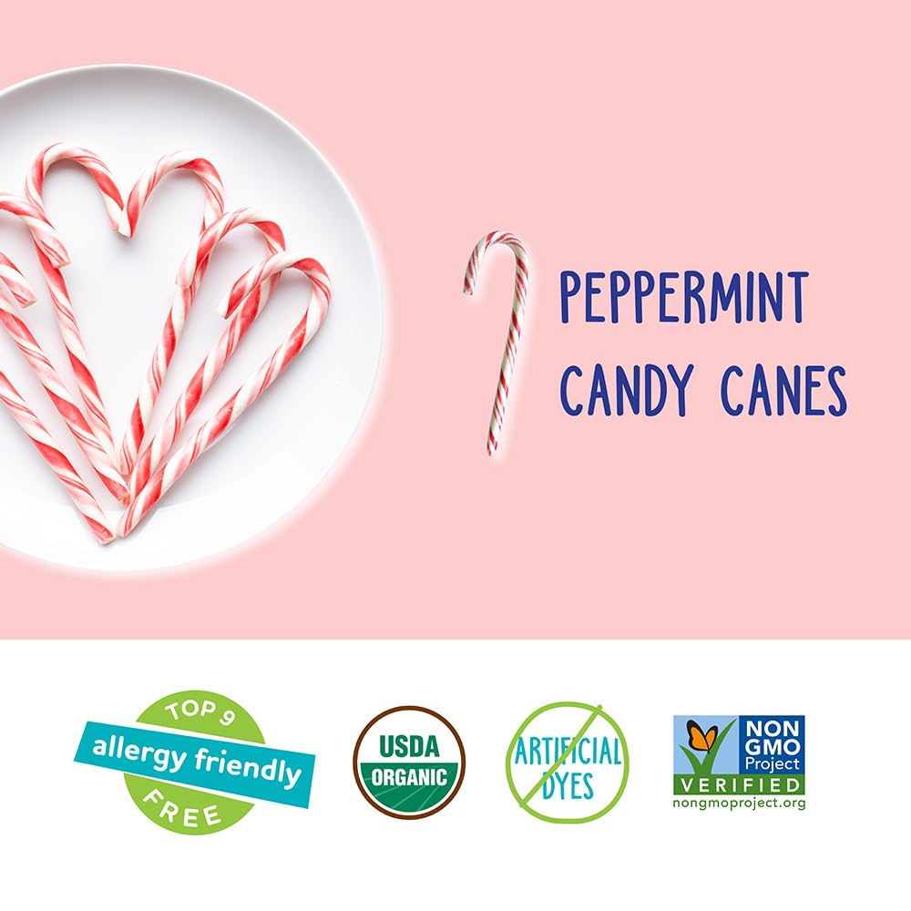 YumEarth Organic Candy Canes - Individually Wrapped Full Size Peppermint Candy Canes - Allergy Friendly, Non GMO, Gluten Free, Vegan, Dye Free Christmas Candy - 10 Count (Pack of 1)