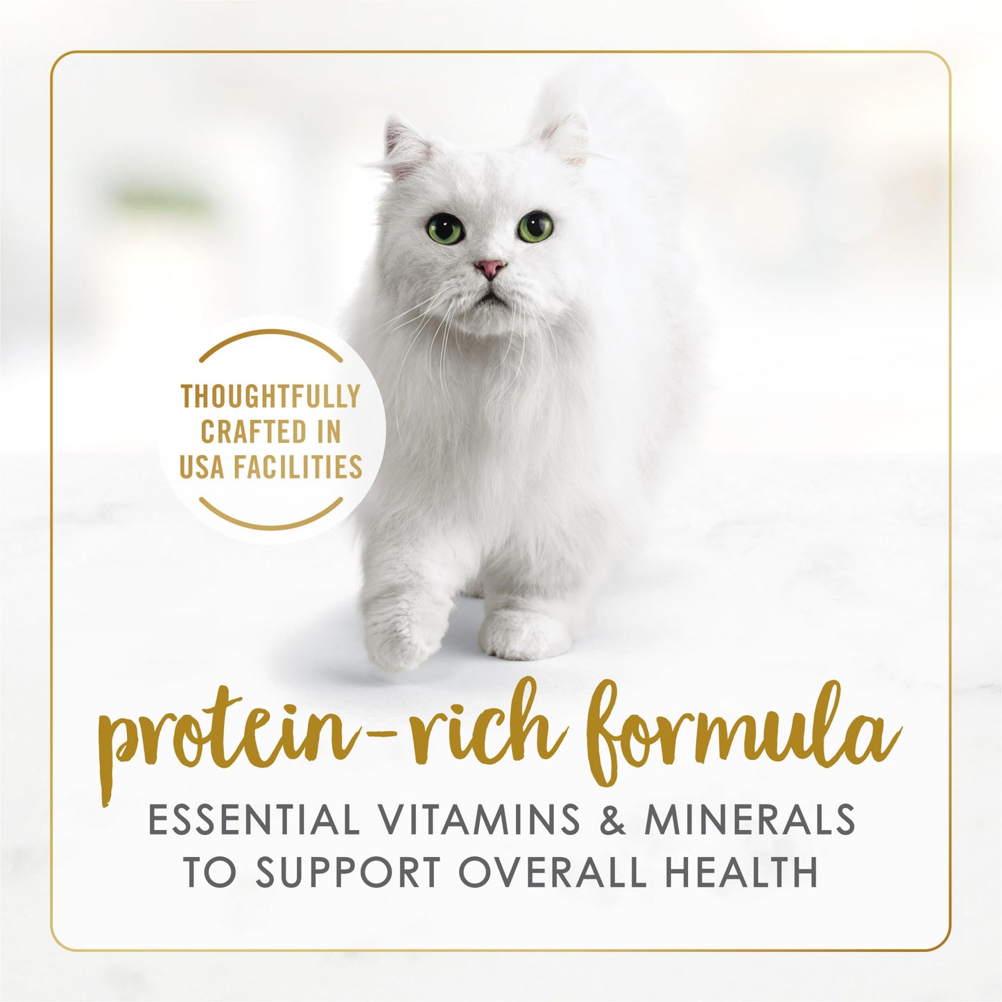 Purina Fancy Feast Gravy Lovers Variety Pack (24-Count)