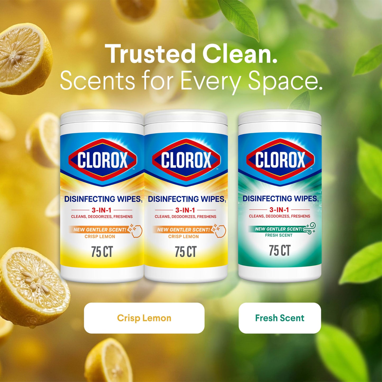 Clorox Disinfecting Wipes, 75 Count Each, Pack of 3 (Package May Vary)