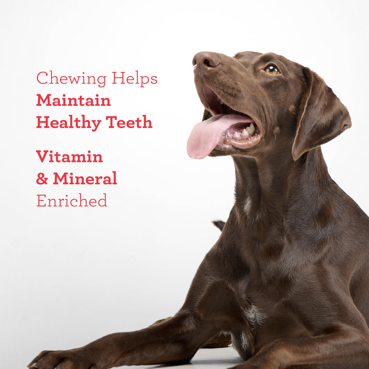 DreamBone Twist Stick Sirloin Rawhide-Free Dog Treats, 15 Count