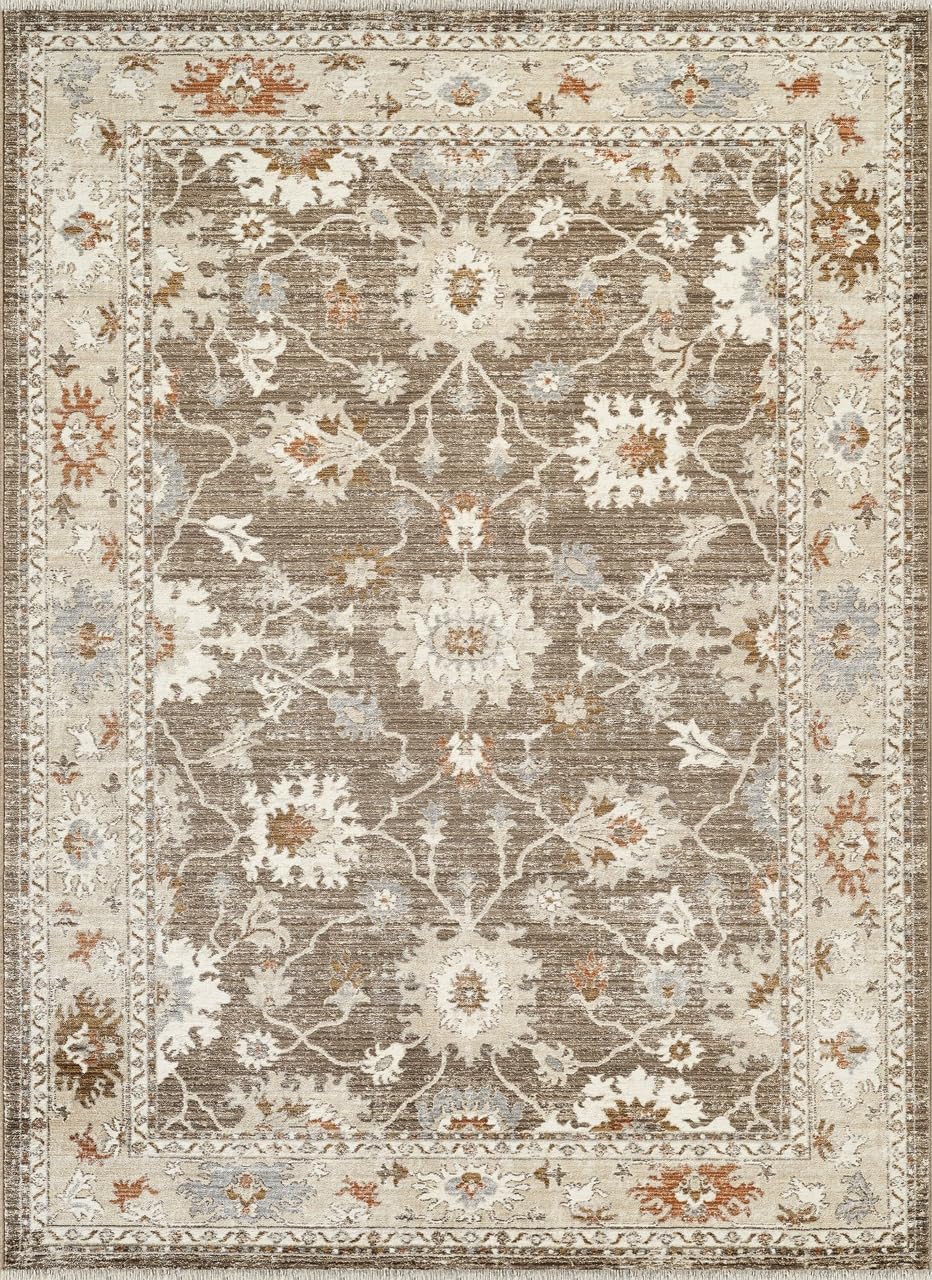 Abani Oriental & Vintage Area Rug - 4'x6' Brown Rectangle Rug for Living Room & Bedroom - Alara Vintage Collection
