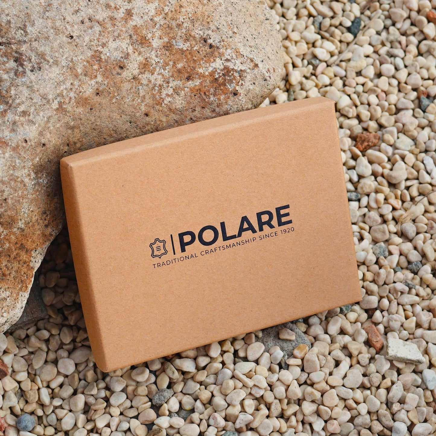 Polare Luxury RFID Blocking Leather Passport Holder Travel Wallet For Men and Women (Dark Brown)