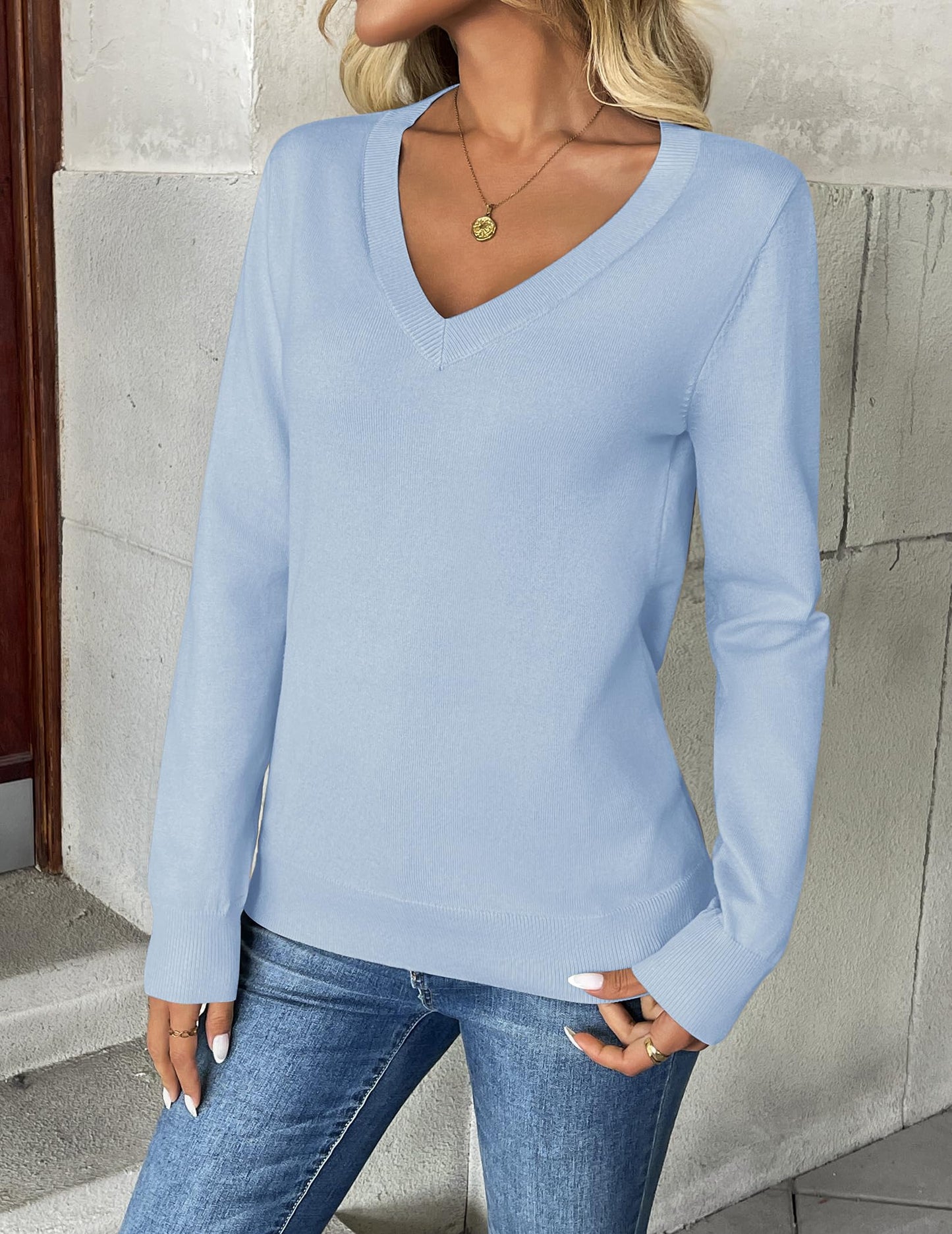 Zeagoo Women's Fall V-Neck Sweater