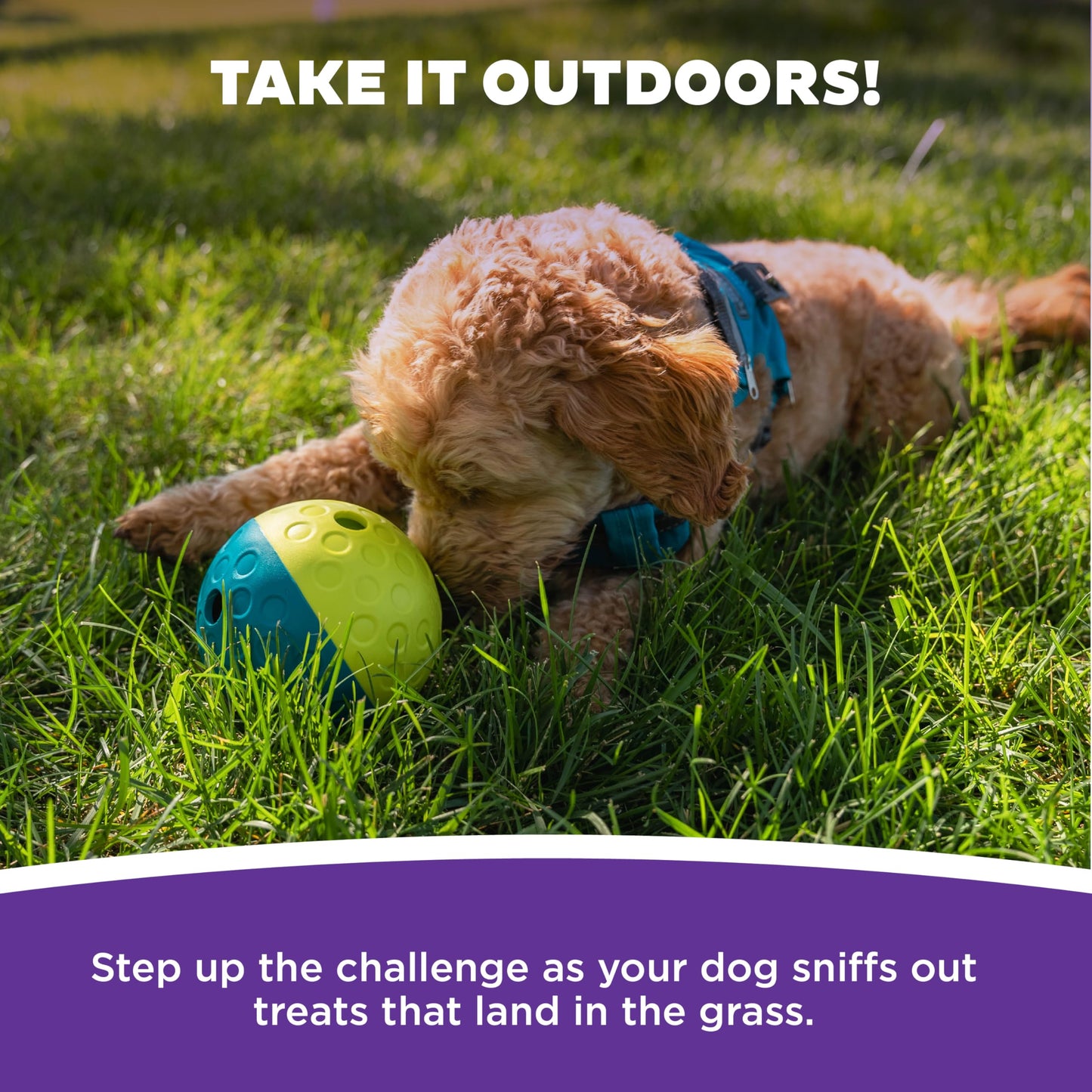 Outward Hound by Nina Ottosson Treat Tumble Interactive Puzzle Ball Dog Toy, Level 1 Beginner, Blue, Small (4.75" Diameter)