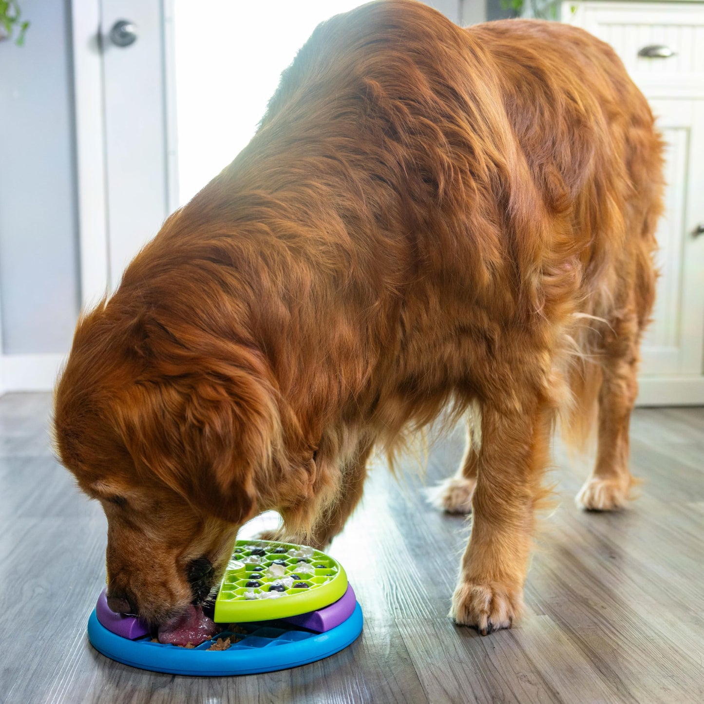 Outward Hound by Nina Ottosson Lickin’ Layers 3-in-1 Interactive Dog Feeder Puzzle, Lick Mat & Slow Feeder Bowl – Mental Stimulation Toy for Medium & Large Dogs, Holds 2 Cups of Wet or Dry Food