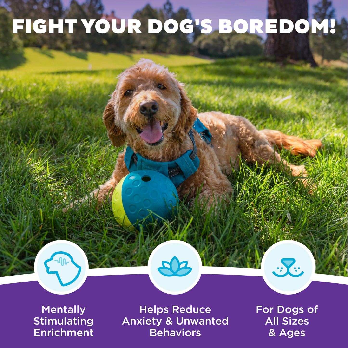 Outward Hound by Nina Ottosson Treat Tumble Interactive Puzzle Ball Dog Toy, Level 1 Beginner, Blue, Small (4.75" Diameter)